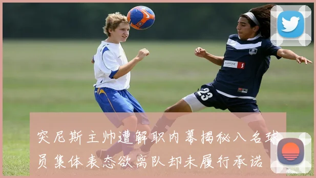 突尼斯主帅遭解职内幕揭秘八名球员集体表态欲离队却未履行承诺